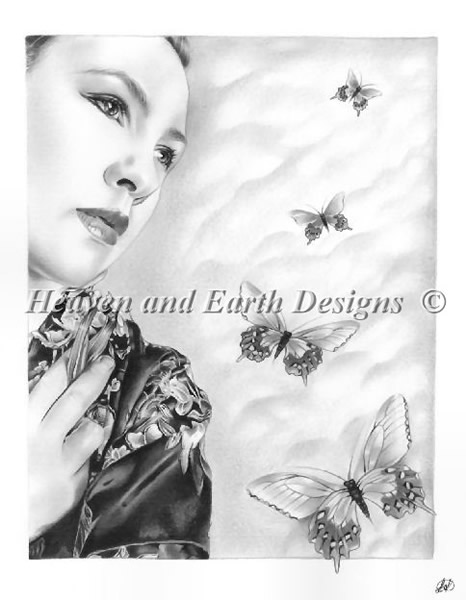 Butterfly Dream - Click Image to Close